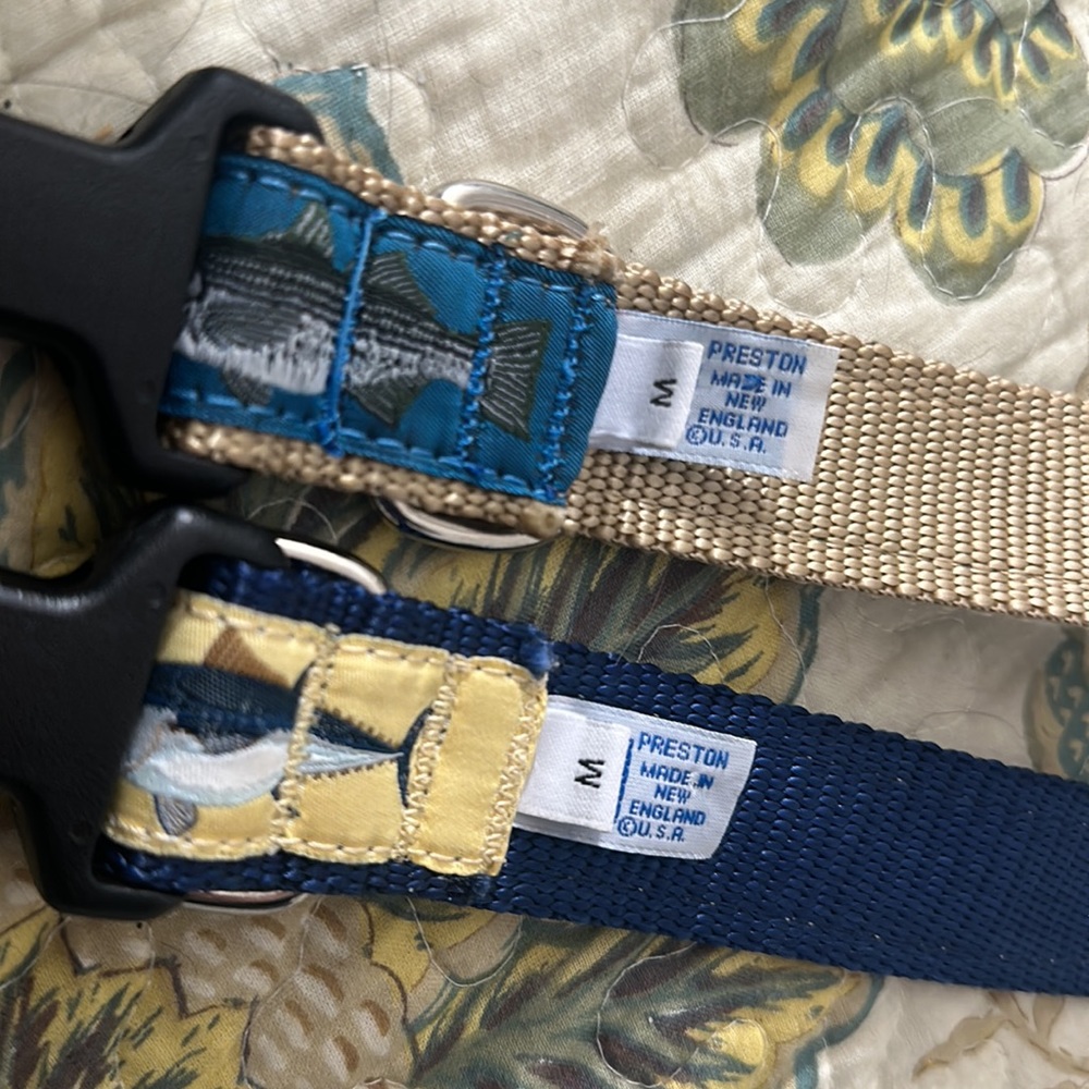 Dog Collars - Picture 3 of 3